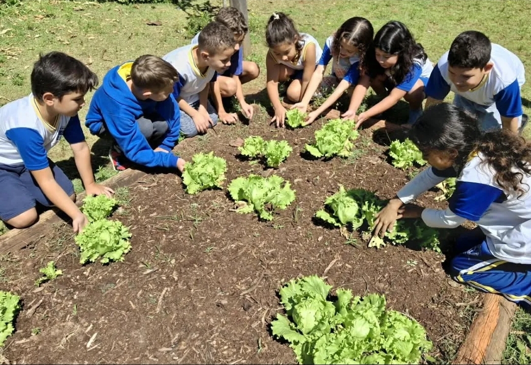 Horta nas Escolas: projeto de Botucatu promove educação ambiental e alimentação saudável desde a infância