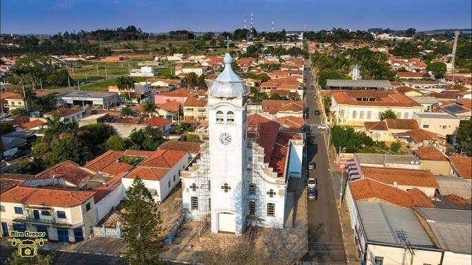 Pereiras promove mutirão de castração gratuita para cães e gatos nos dias 29 e 30 de novembro