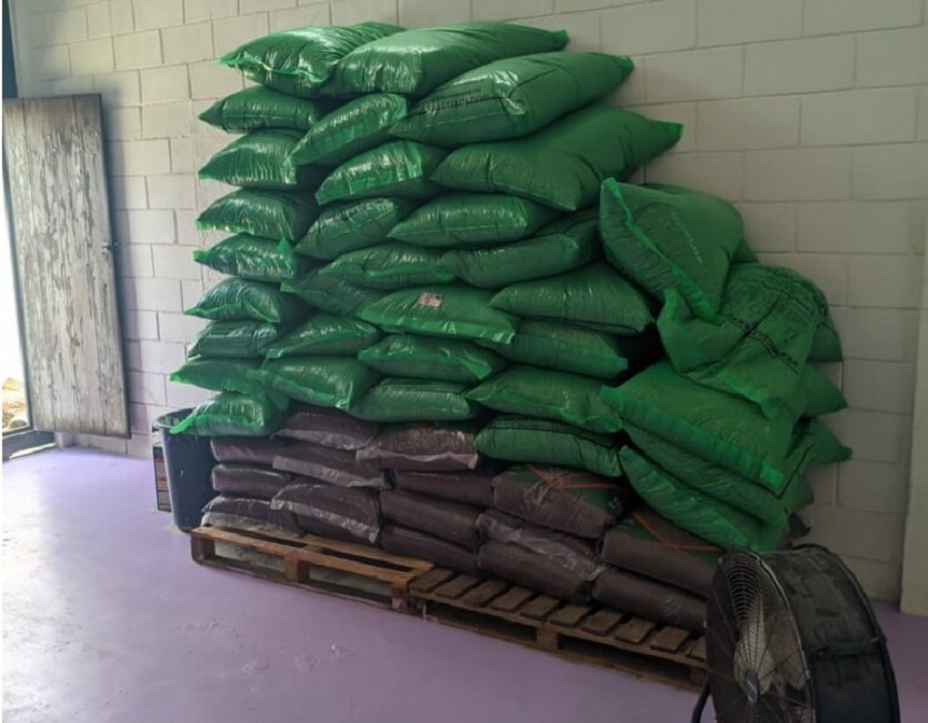 Cogumelos alucinógenos são apreendidos em galpão alugado por homem preso em operação em Ubatuba