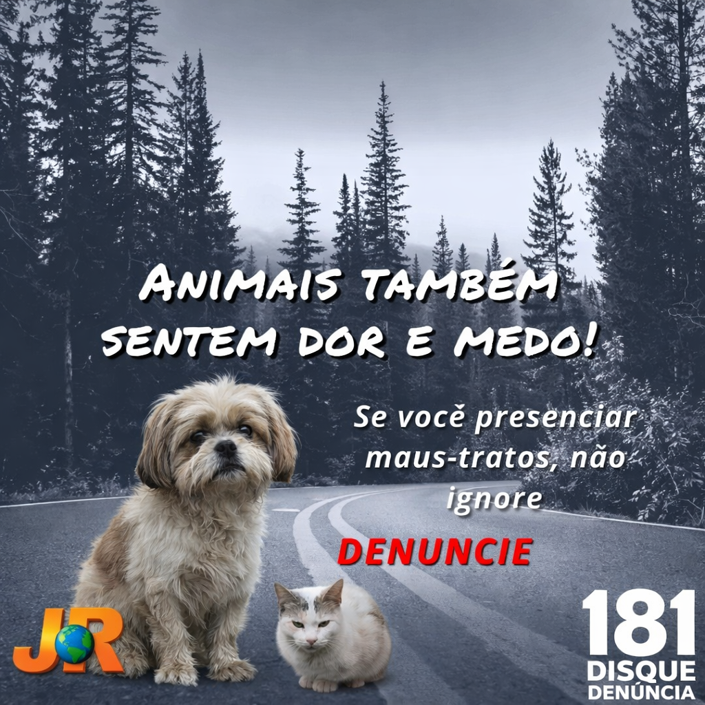 Denúncias de maus-tratos a animais aumentam no interior paulista e acendem alerta