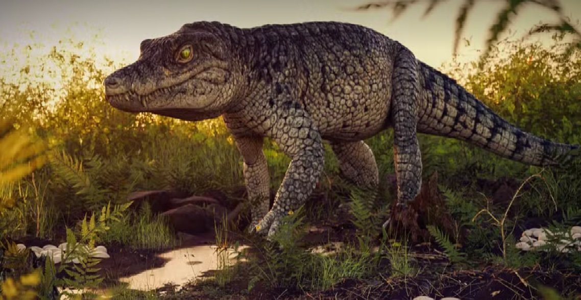 Interior de São Paulo teria sido um “berço” de crocodilomorfos entre 90 e 70 milhões de anos, revela estudo científico