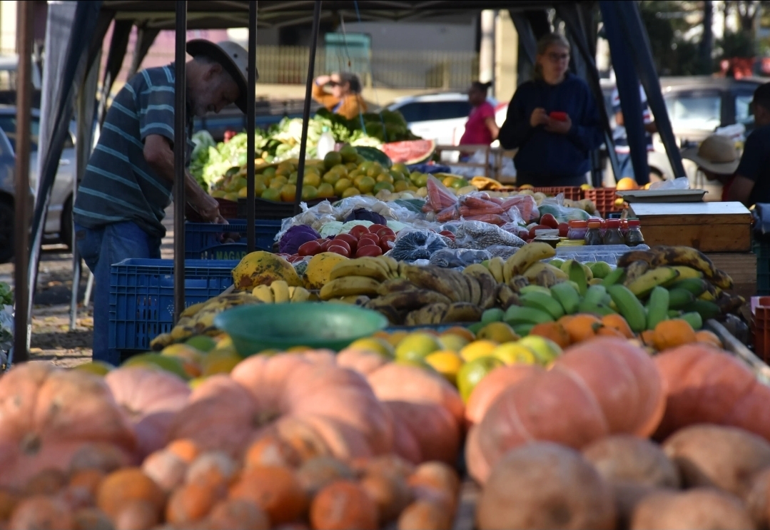 Do produtor ao consumidor: nove feiras livres fortalecem a alimentação e a economia de Botucatu